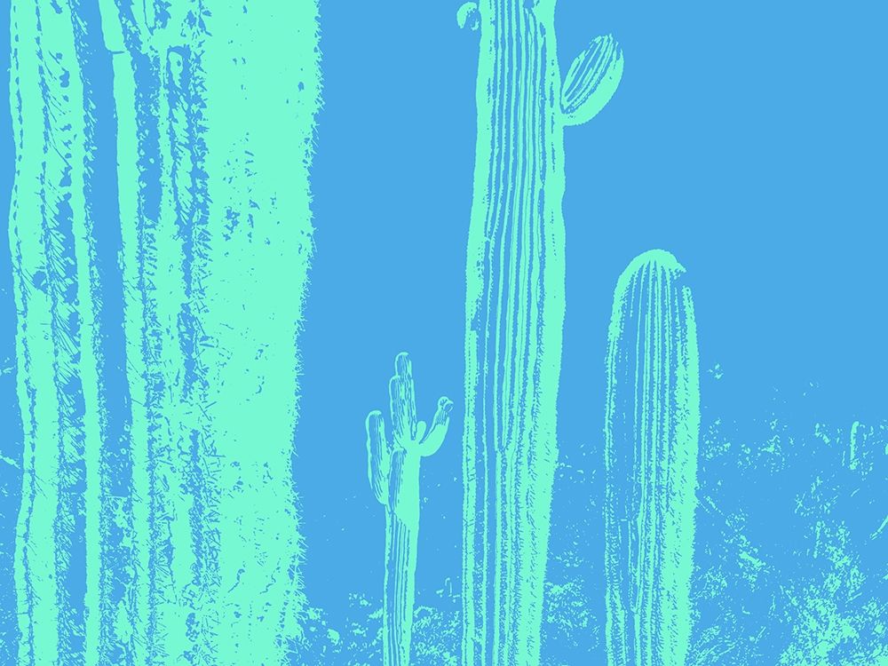 Desert Silhouette VII art print by William Tenoever for $57.95 CAD