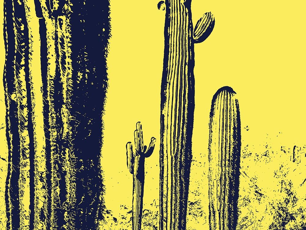 Desert Silhouette IX art print by William Tenoever for $57.95 CAD