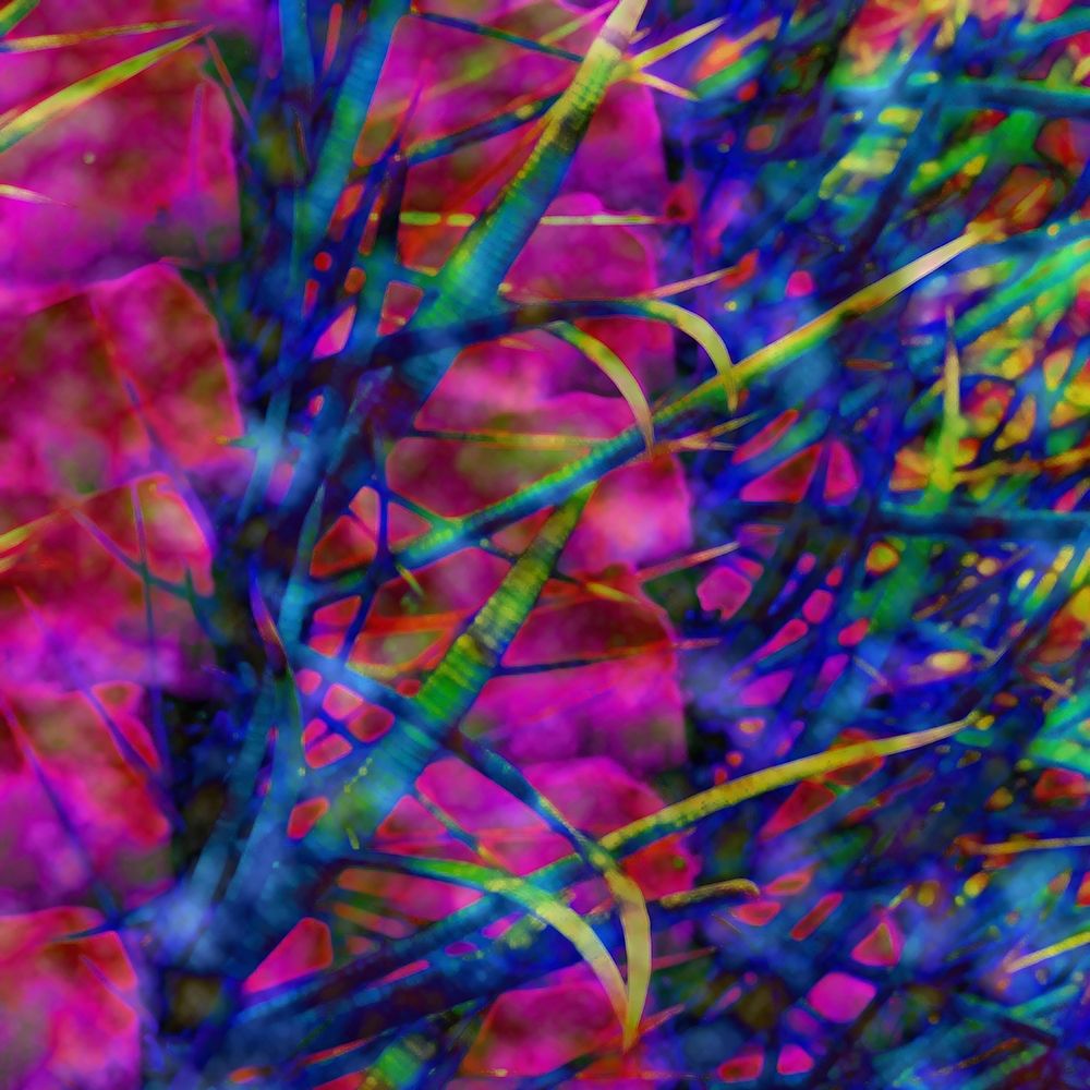 Color Blast XIX art print by William Tenoever for $57.95 CAD