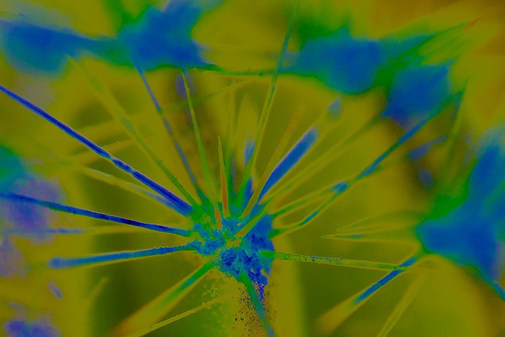 Color Blast XXIa art print by William Tenoever for $57.95 CAD
