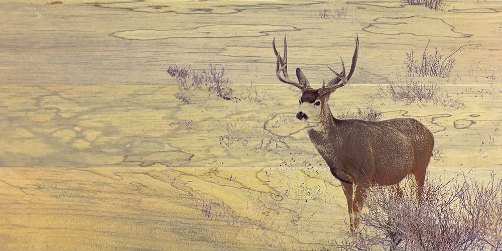 Deer Woodblock art print by William Tenoever for $57.95 CAD