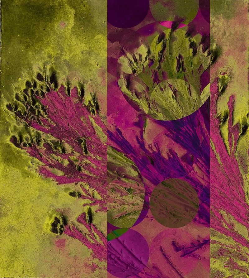 Desert Broom Abstract art print by William Tenoever for $57.95 CAD