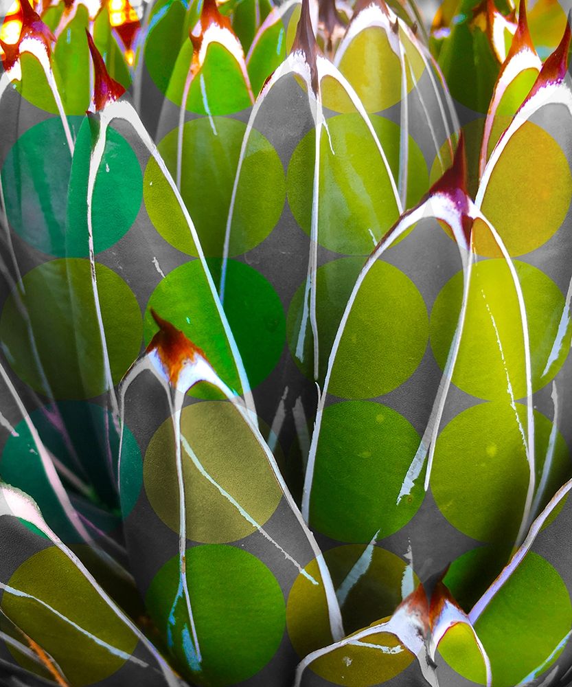 Moods Agave I art print by William Tenoever for $57.95 CAD