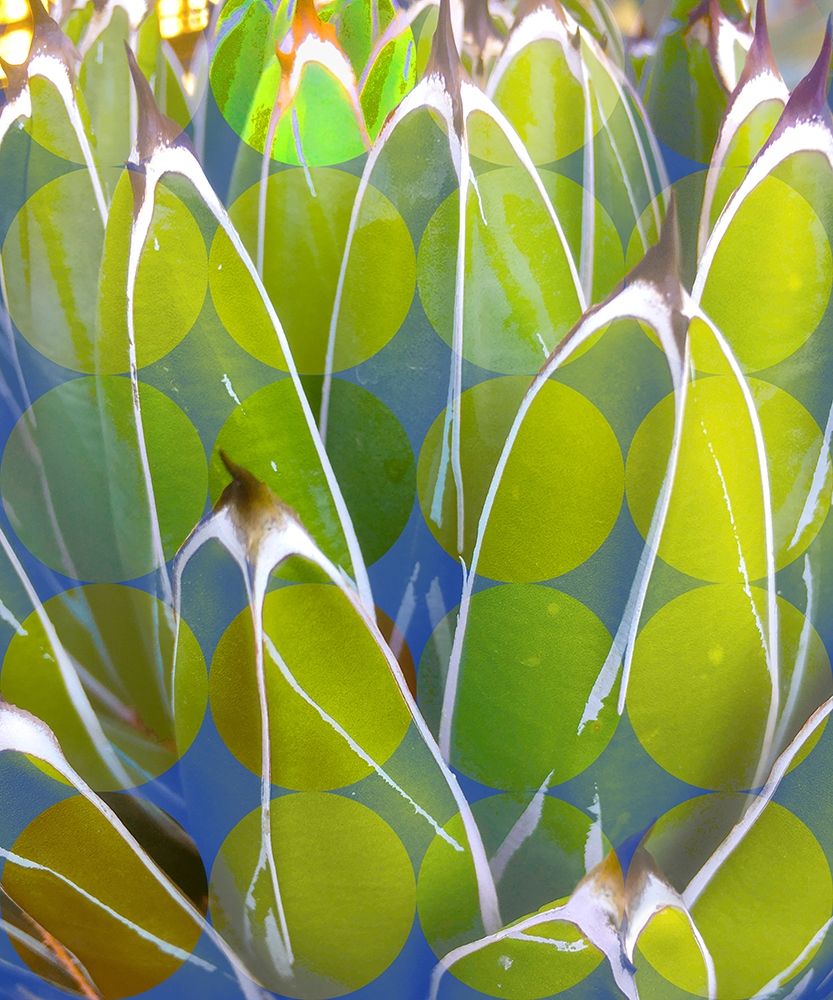 Moods Agave III art print by William Tenoever for $57.95 CAD