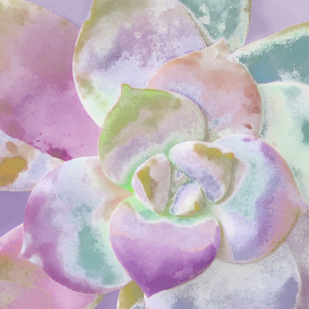 Moods Succulent II art print by William Tenoever for $57.95 CAD