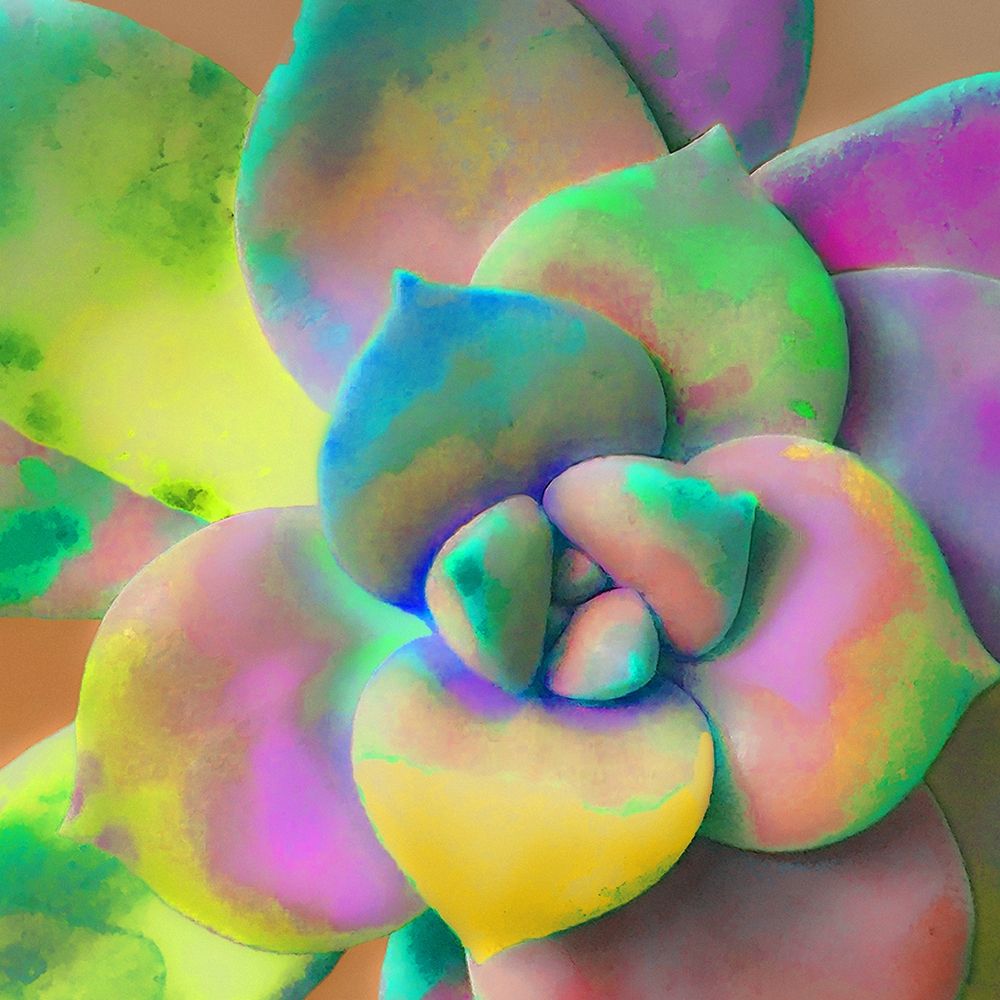 Moods Succulent IV art print by William Tenoever for $57.95 CAD