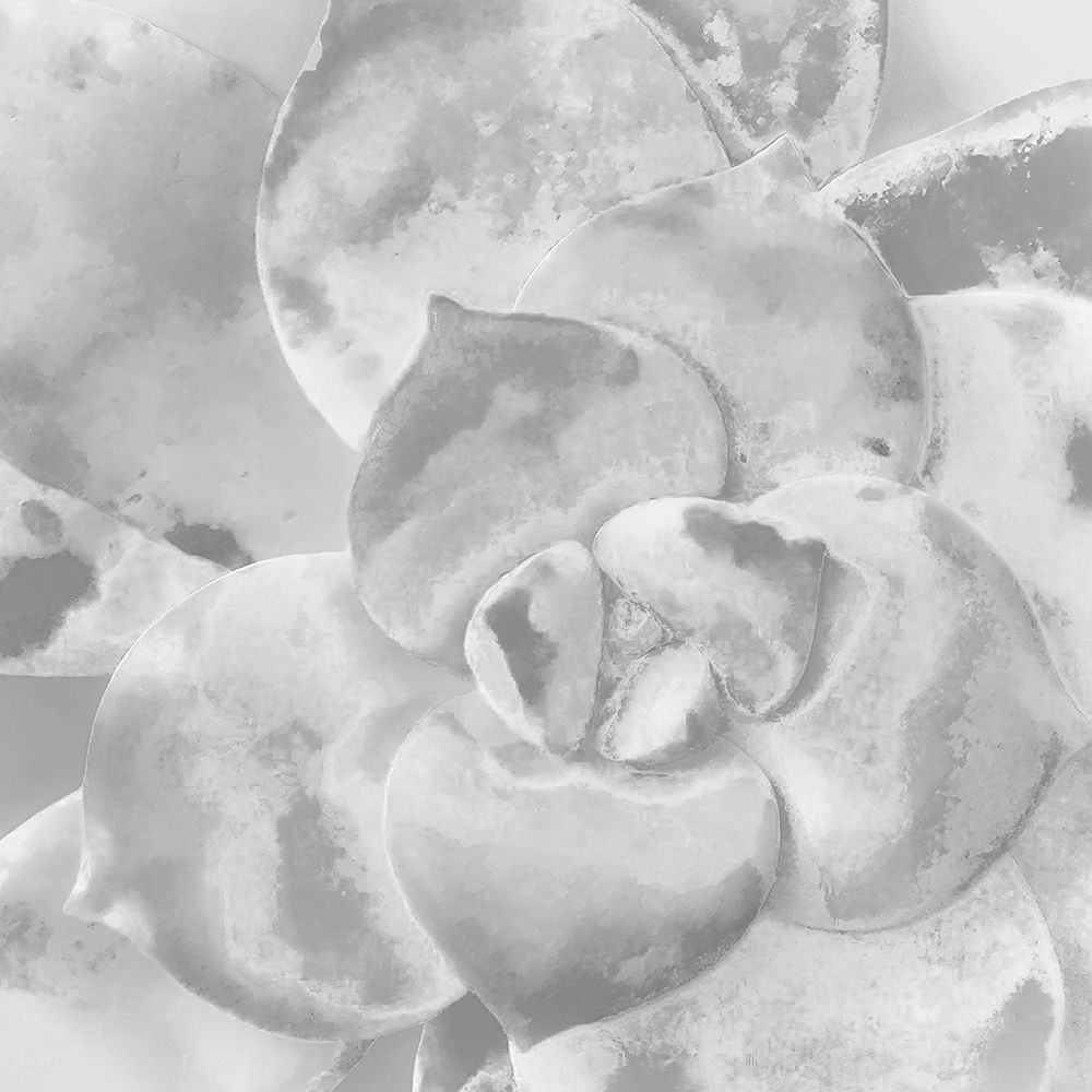 Moods Succulent V art print by William Tenoever for $57.95 CAD
