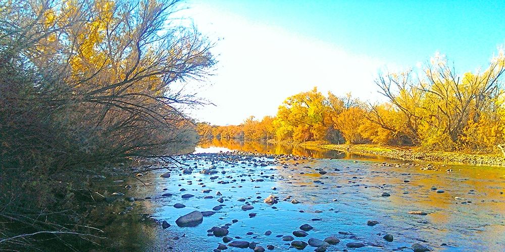 Salt RIver in Fall II: WaterColorEffect art print by William Tenoever for $57.95 CAD