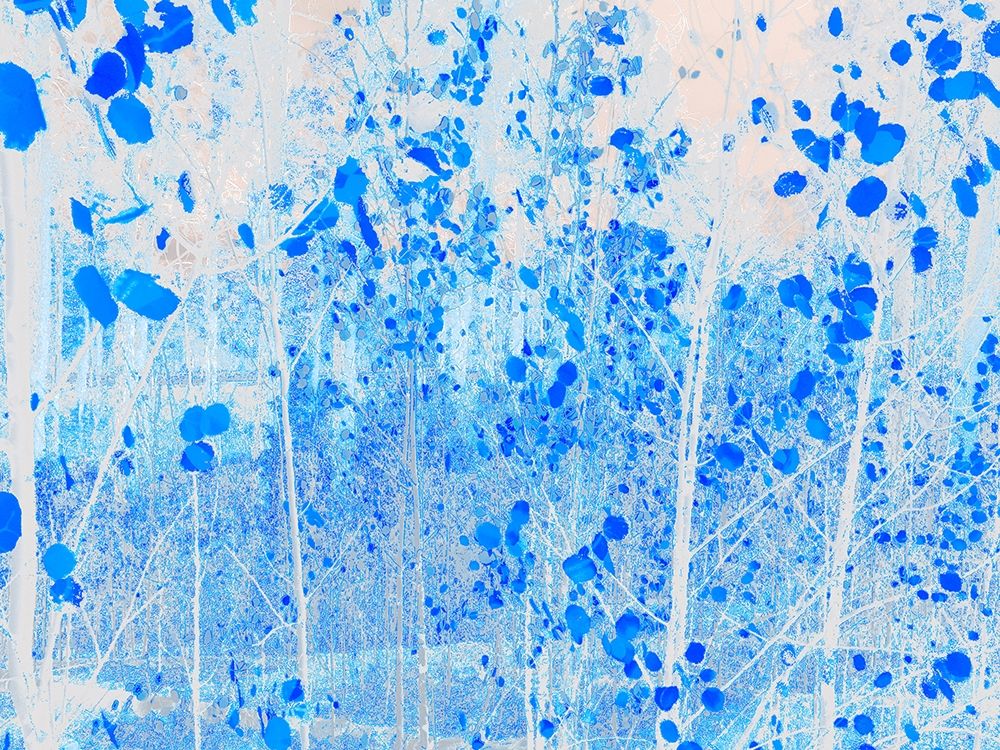 Color Mood-Aspen 3 art print by William Tenoever for $57.95 CAD