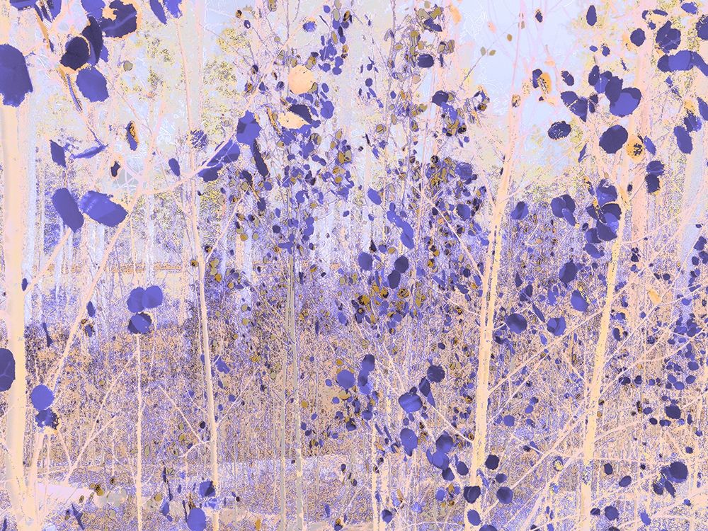 Color Mood-Aspen 4 art print by William Tenoever for $57.95 CAD