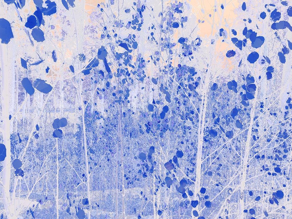 Color Mood-Aspen 5 art print by William Tenoever for $57.95 CAD