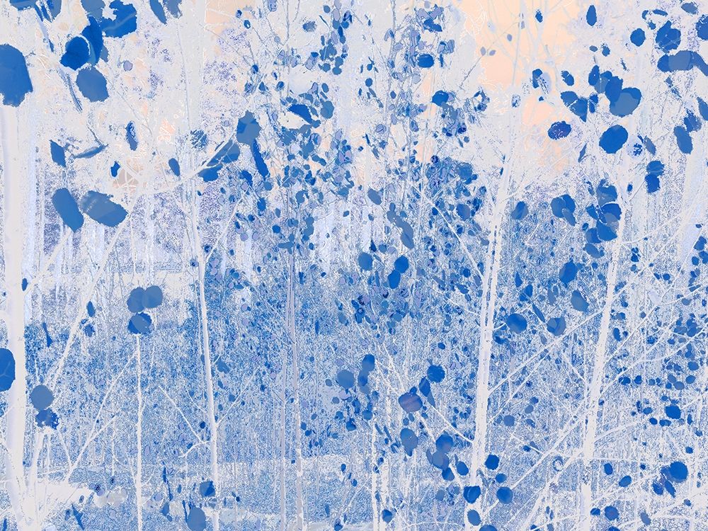 Color Mood-Aspen 6 art print by William Tenoever for $57.95 CAD