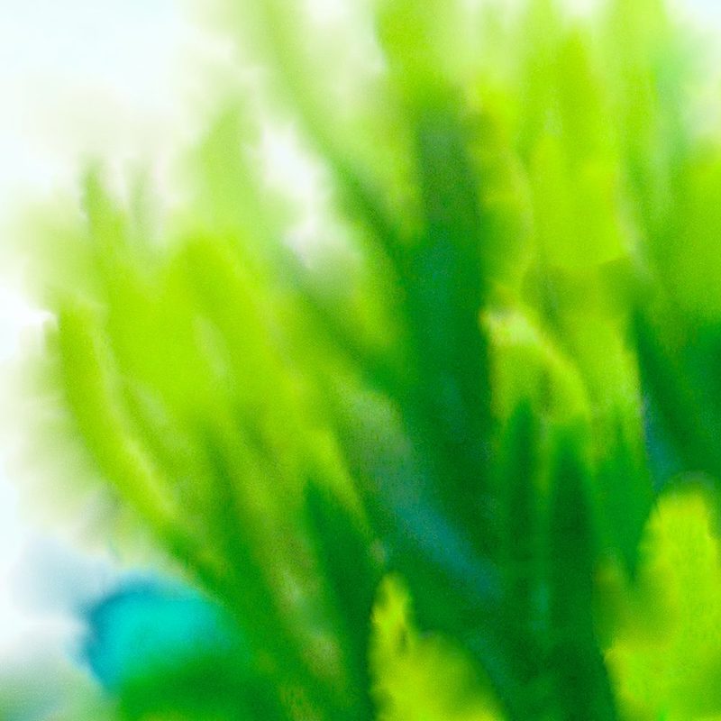 Green Flora 2 art print by William Tenoever for $57.95 CAD
