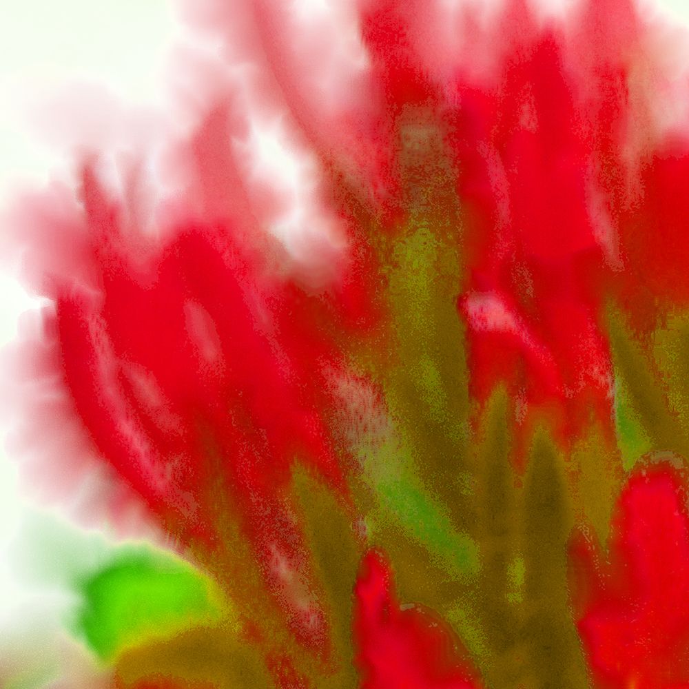 Flora in Red 1 art print by William Tenoever for $57.95 CAD