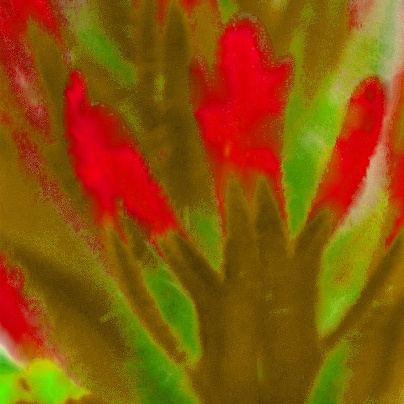 Flora in Red 2 art print by William Tenoever for $57.95 CAD
