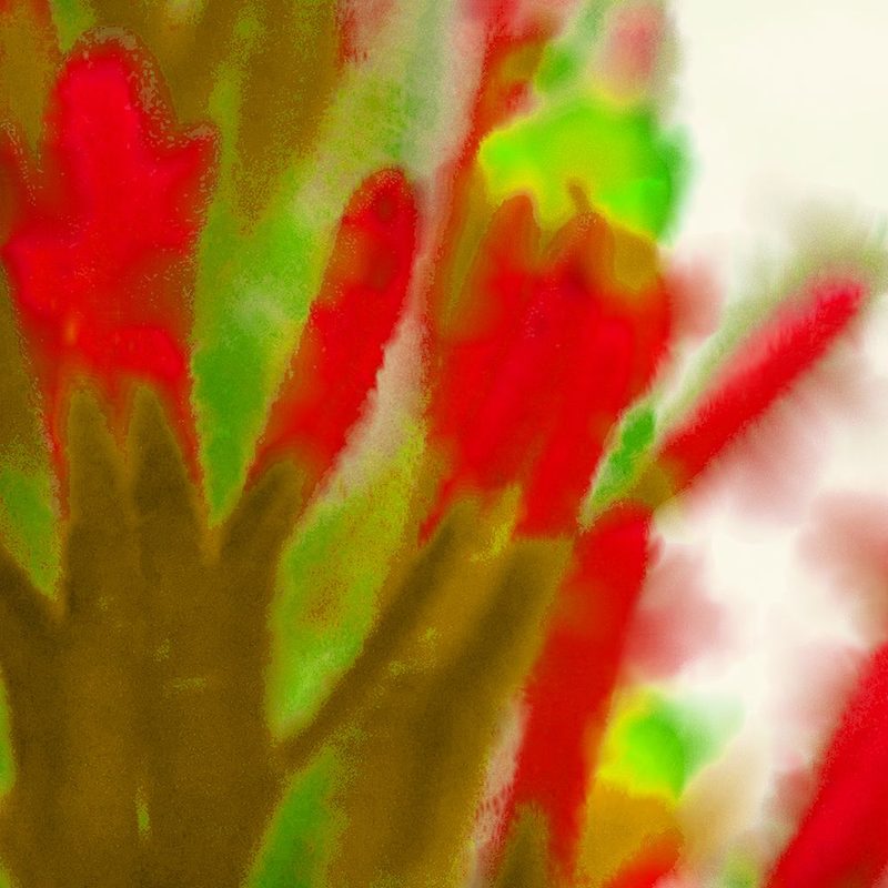 Flora in Red 3 art print by William Tenoever for $57.95 CAD