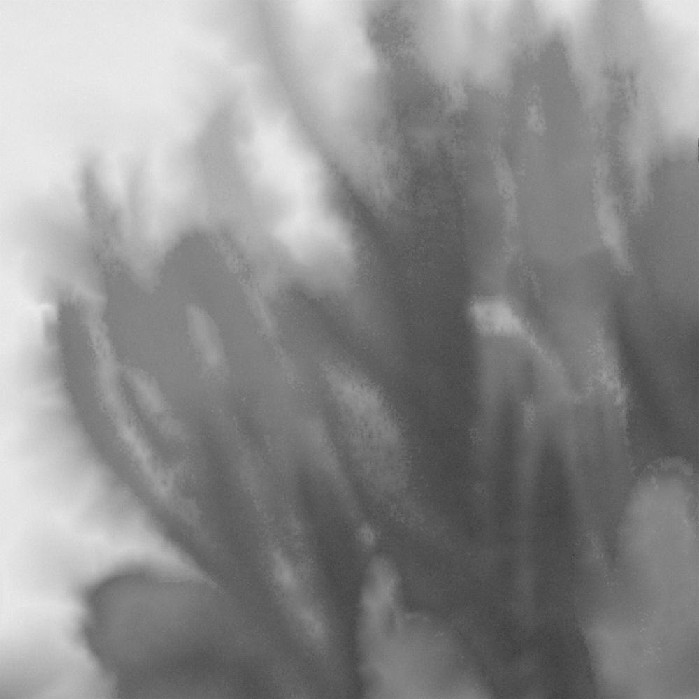 Grey Flora 1 art print by William Tenoever for $57.95 CAD