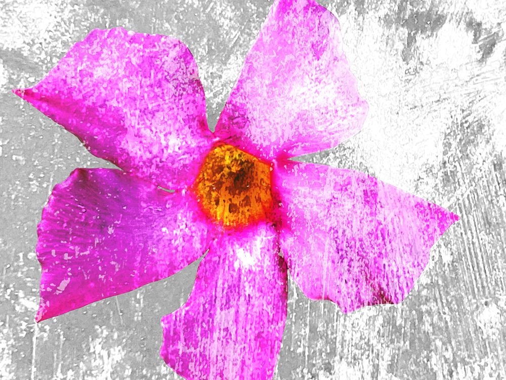 Flora Obscura 2 art print by William Tenoever for $57.95 CAD