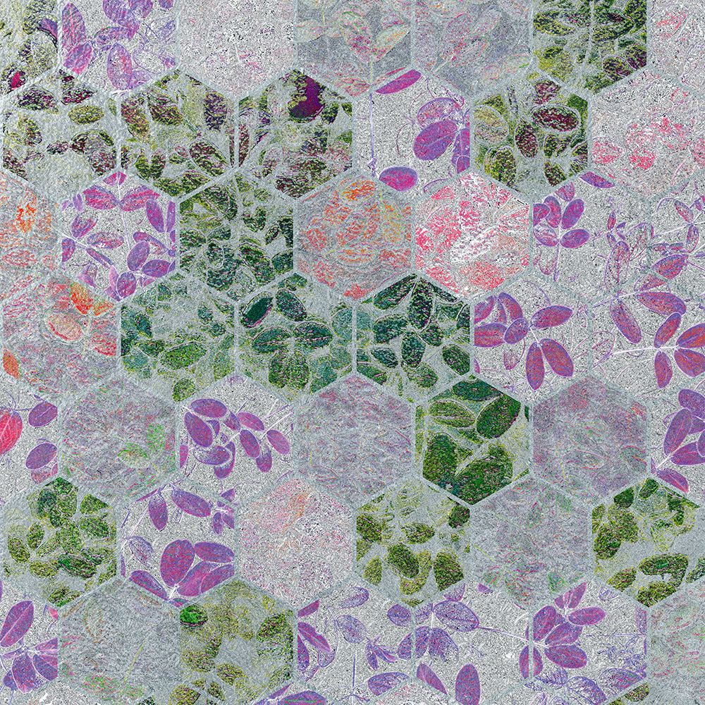HexiFlora: Imprint 4a art print by William Tenoever for $57.95 CAD