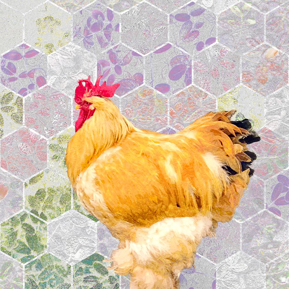 Rooster John at Watlings art print by William Tenoever for $57.95 CAD