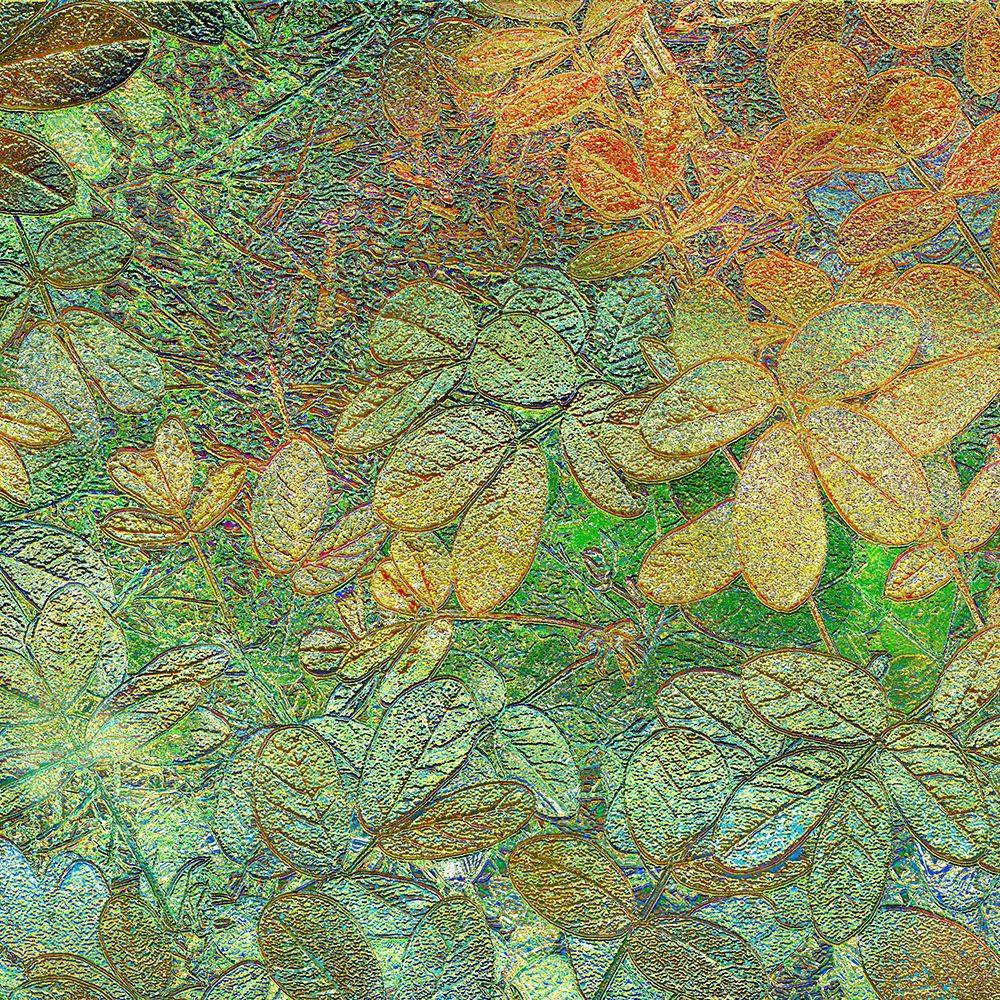 Flora Square 1b art print by William Tenoever for $57.95 CAD