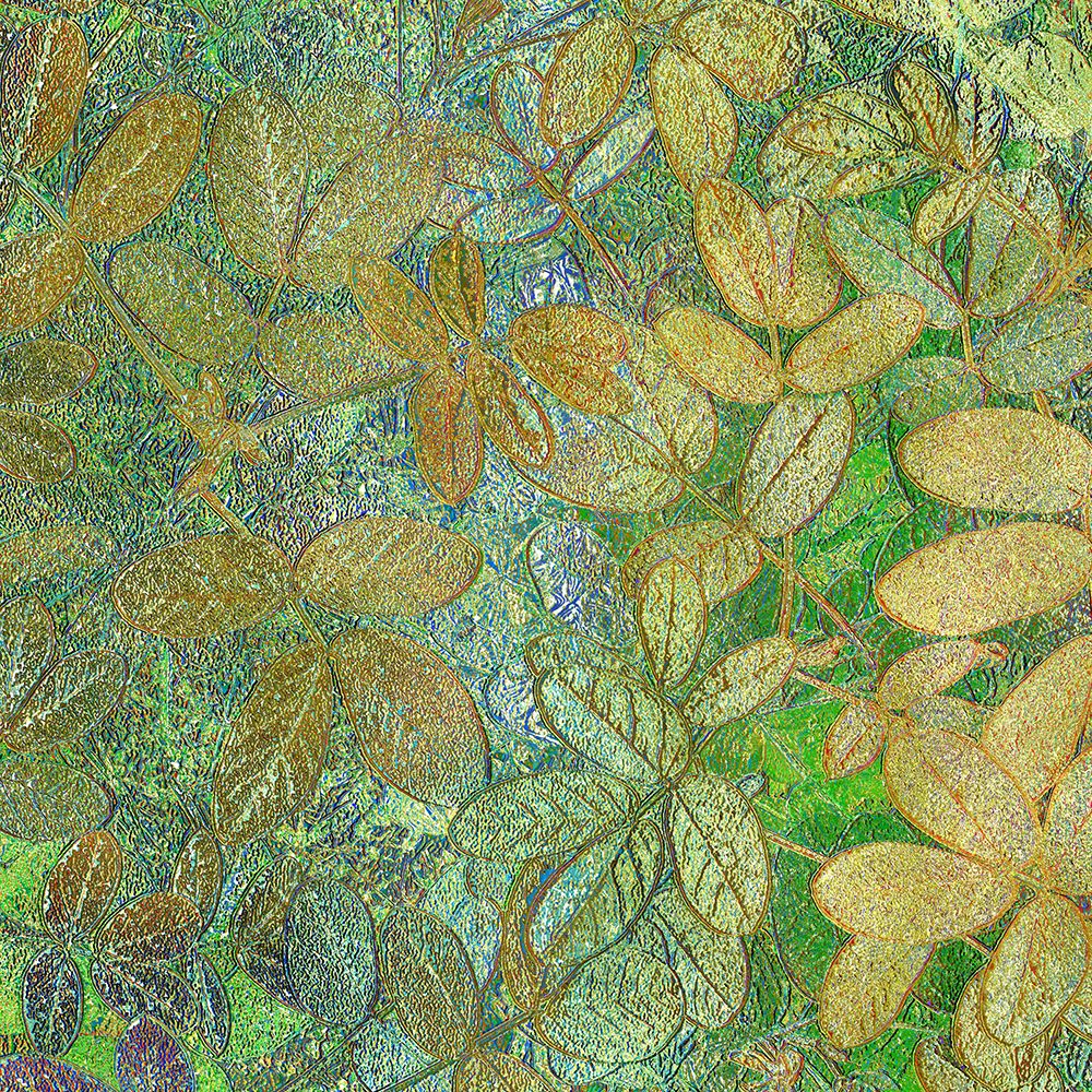 Flora Square 1e art print by William Tenoever for $57.95 CAD