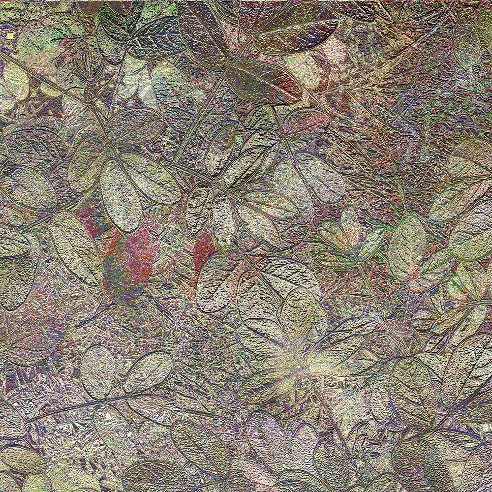 Flora Square 1g art print by William Tenoever for $57.95 CAD