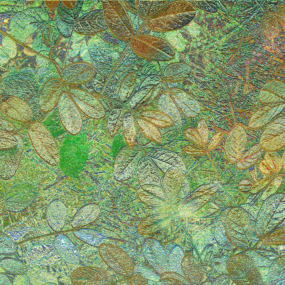 Flora Square 1h art print by William Tenoever for $57.95 CAD