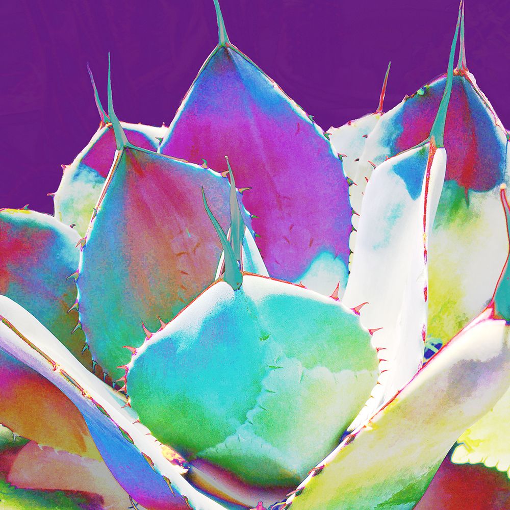 Color Moods: Cactus 1 art print by William Tenoever for $57.95 CAD