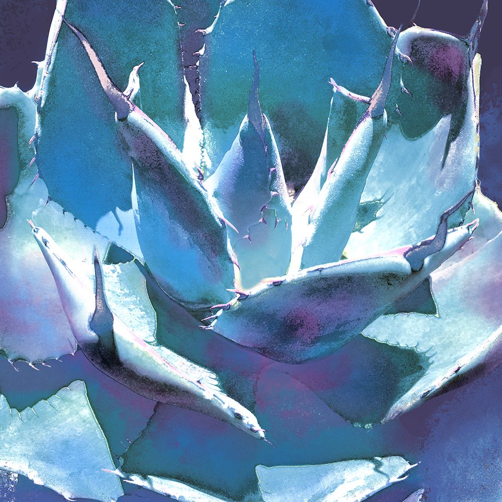 Color Moods: Cactus 6 art print by William Tenoever for $57.95 CAD