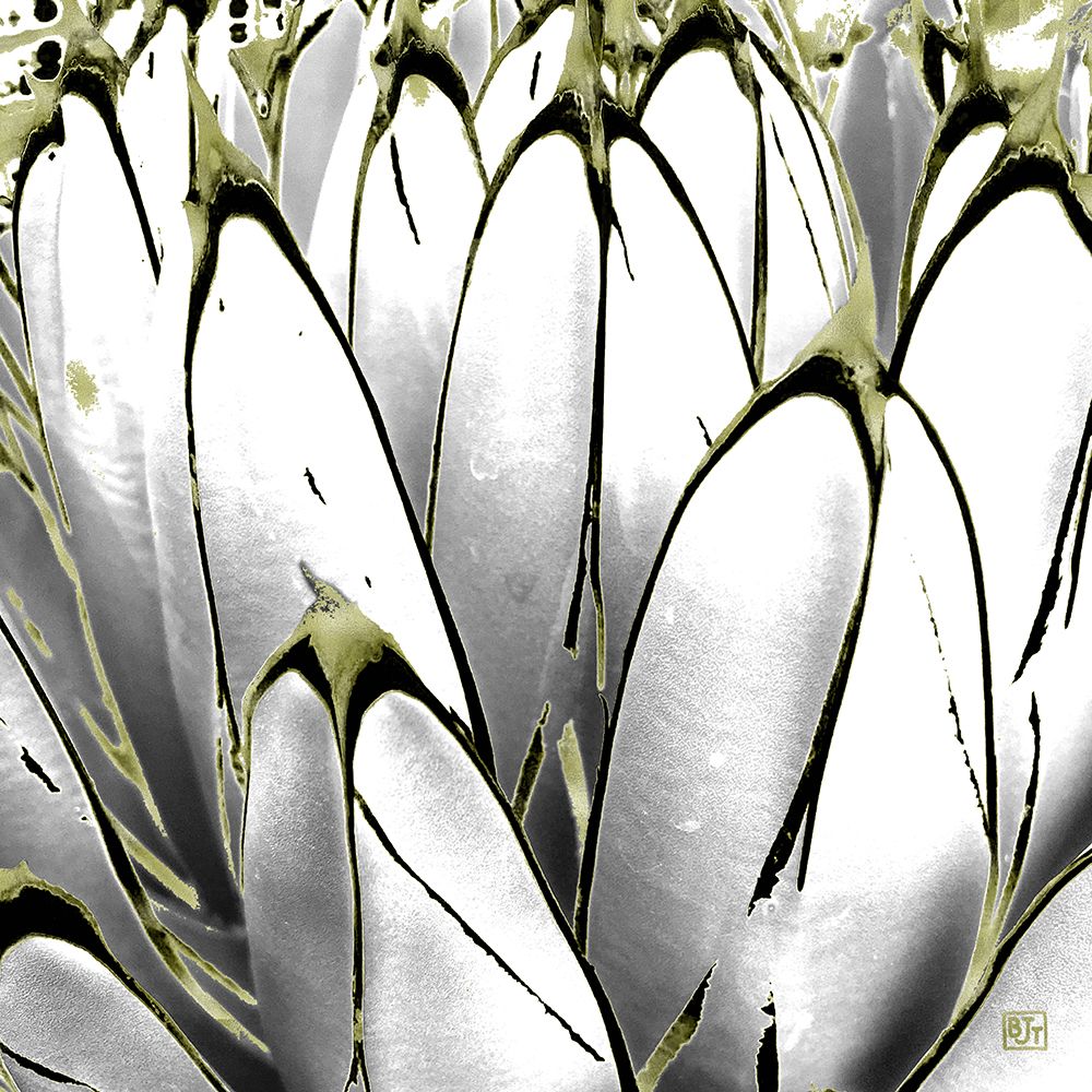 Color Moods: Cactus 7b Gold Type art print by William Tenoever for $57.95 CAD