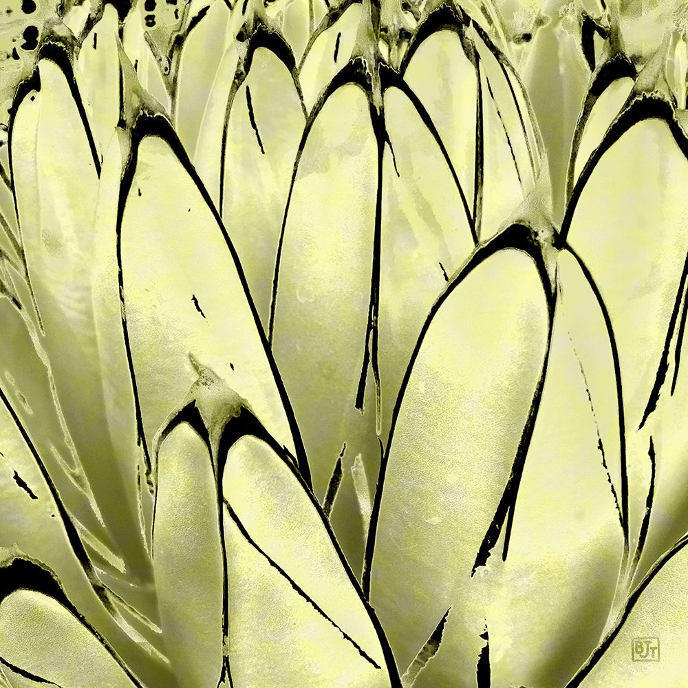 Color Moods: Cactus 7e Gold Type art print by William Tenoever for $57.95 CAD