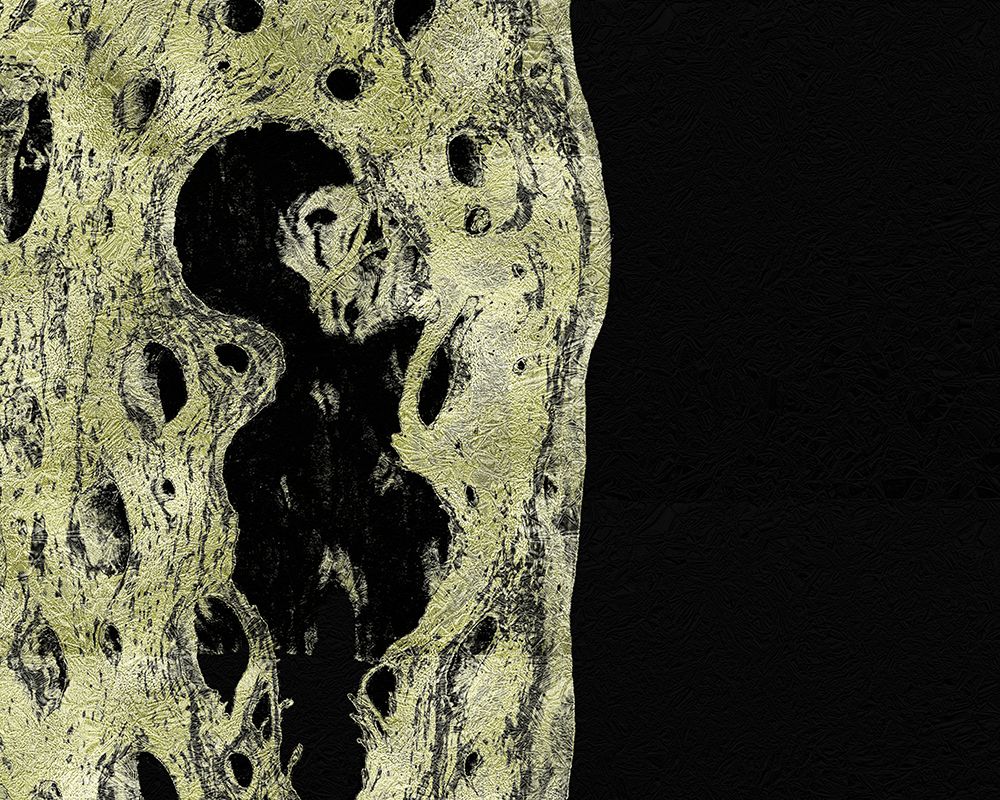 Gold Type: Cholla Bones 2 art print by William Tenoever for $57.95 CAD