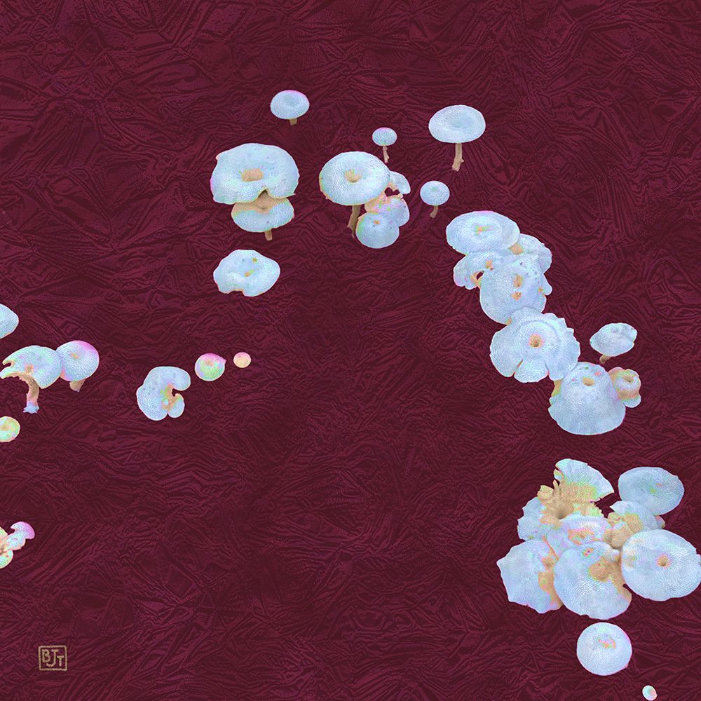 White Mushrooms Ver3 art print by William Tenoever for $57.95 CAD