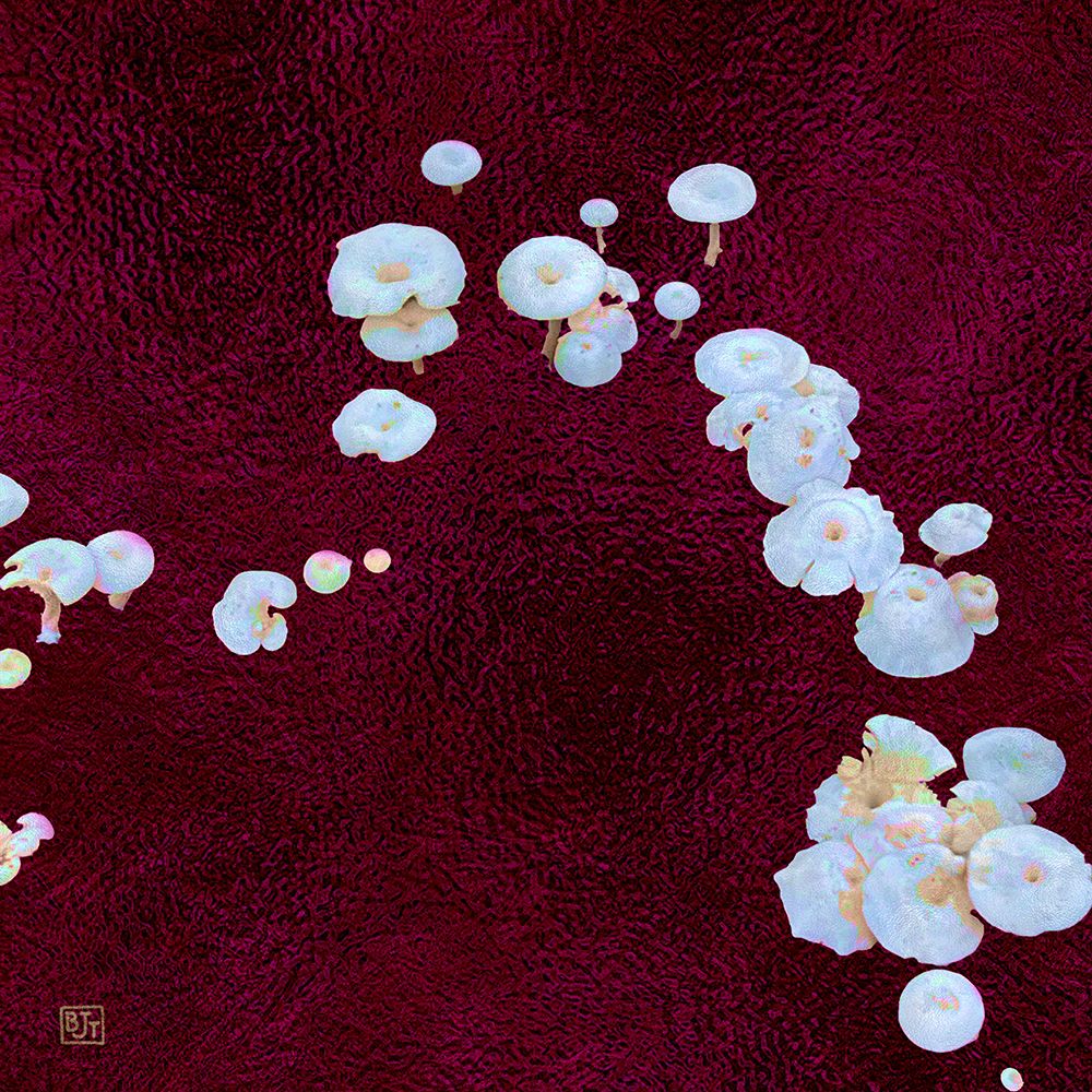 White Mushrooms Ver4 art print by William Tenoever for $57.95 CAD