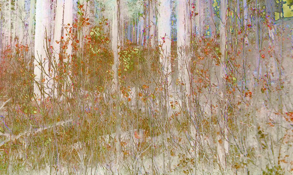 Color Moods: Forest Gold Type 1b art print by William Tenoever for $57.95 CAD