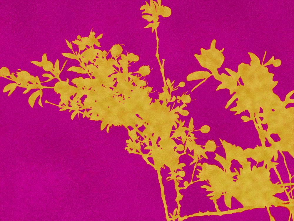 Creosote Gold Silhouette art print by William Tenoever for $57.95 CAD