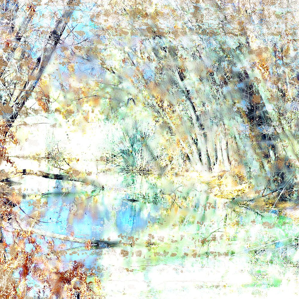 Green Heron in Flight art print by William Tenoever for $57.95 CAD