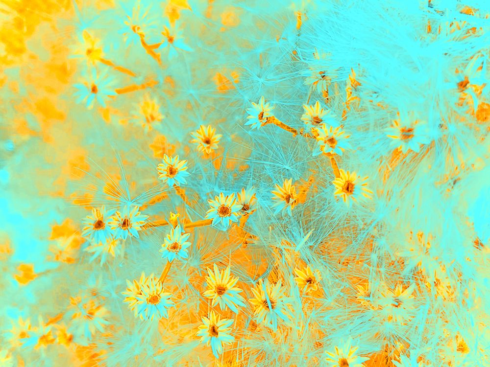 ColorMoods:BroomBlooms5 art print by William Tenoever for $57.95 CAD