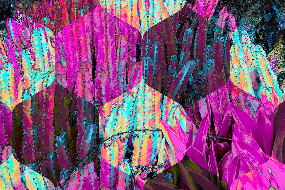 Hexaflora1 art print by William Tenoever for $57.95 CAD