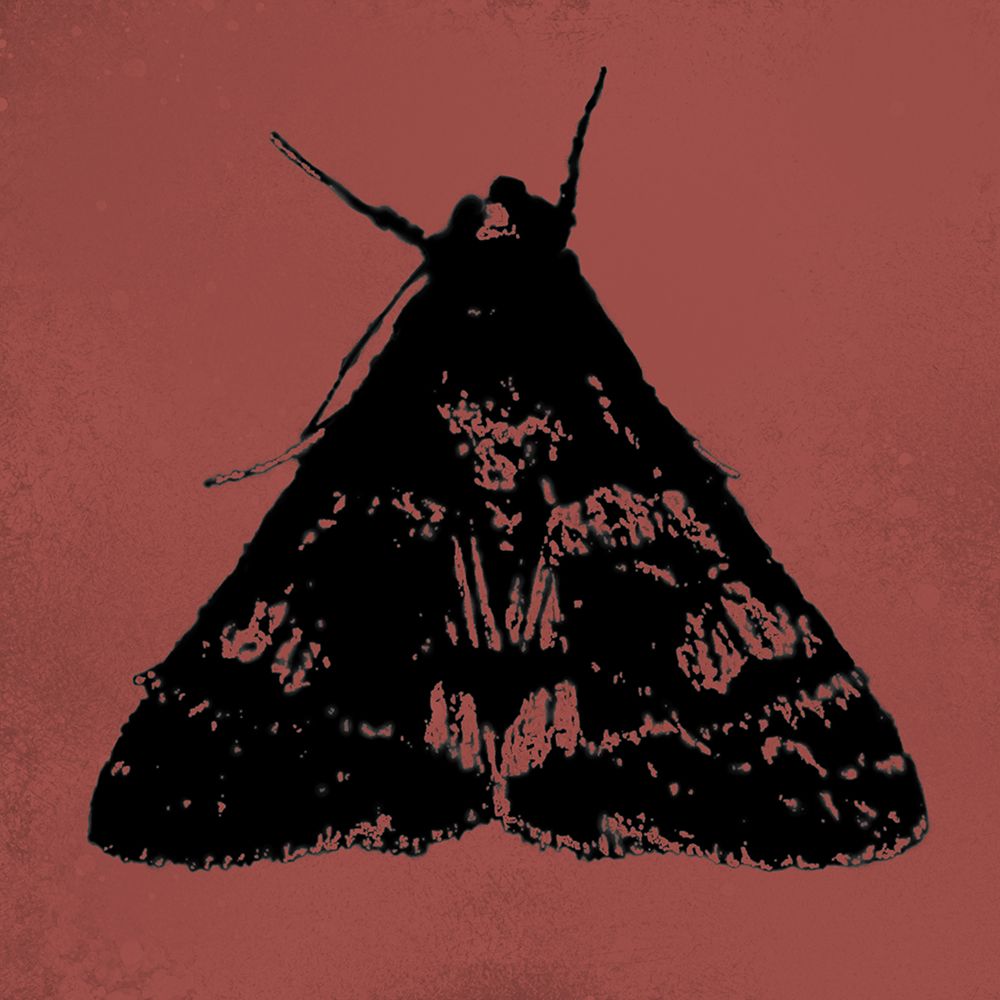 ColorMoods:Moth4 art print by William Tenoever for $57.95 CAD