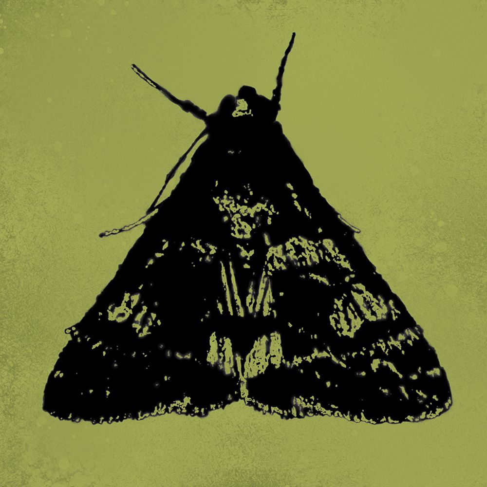 ColorMoods:Moth7 art print by William Tenoever for $57.95 CAD