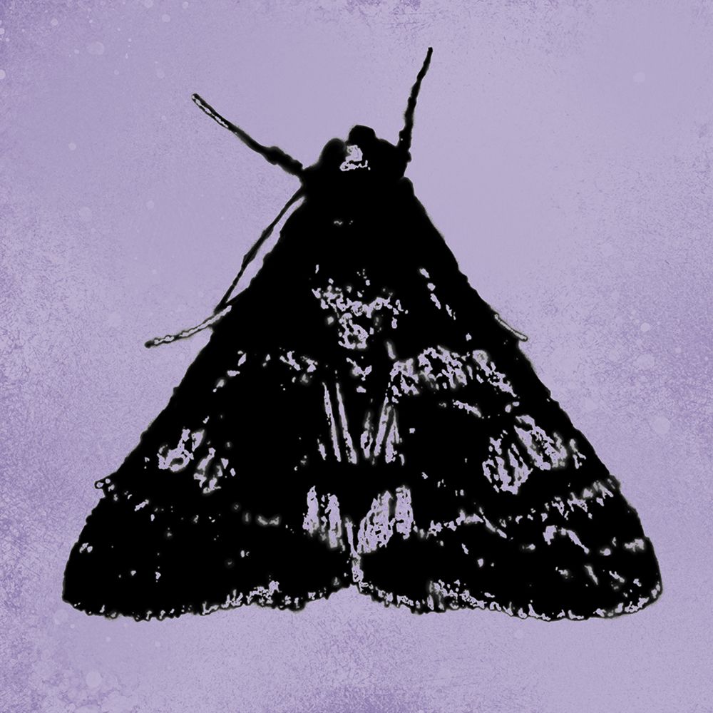 ColorMoods:Moth8 art print by William Tenoever for $57.95 CAD