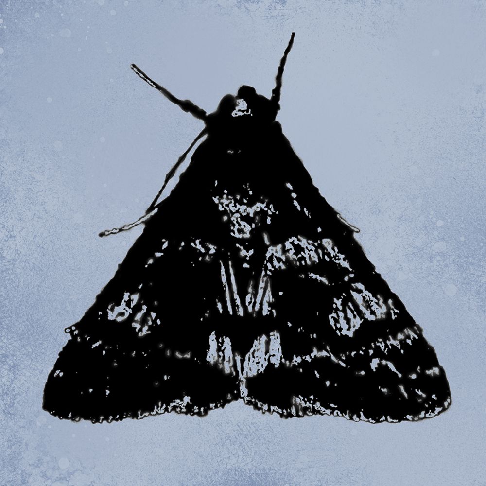 ColorMoods:Moth9 art print by William Tenoever for $57.95 CAD