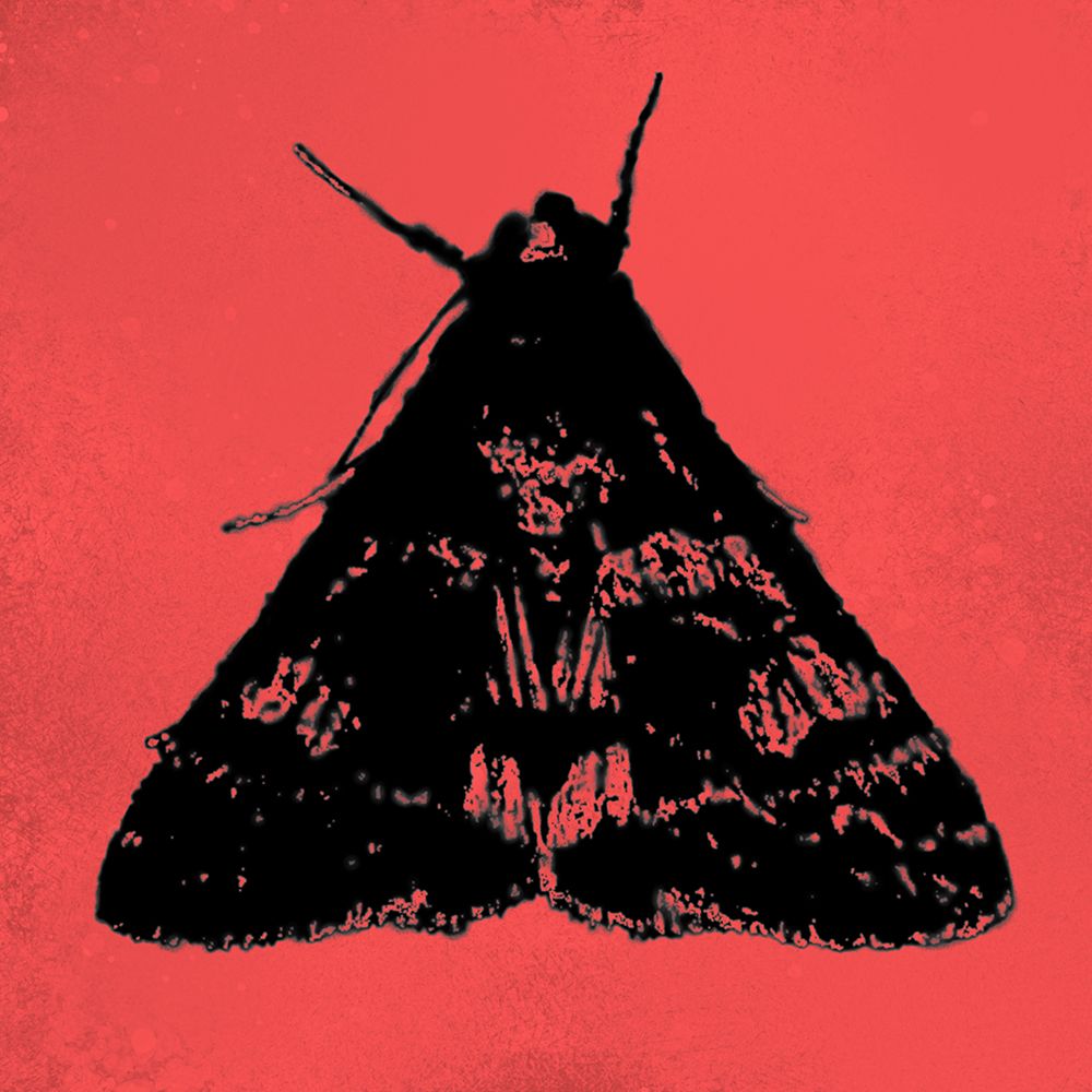 ColorMoods:Moth12 art print by William Tenoever for $57.95 CAD