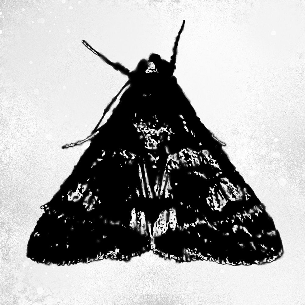 ColorMoods:Moth13 art print by William Tenoever for $57.95 CAD