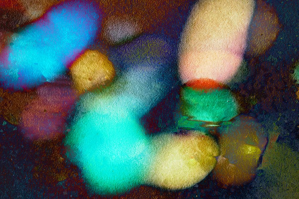 A Collection of Reflected Light art print by William Tenoever for $57.95 CAD