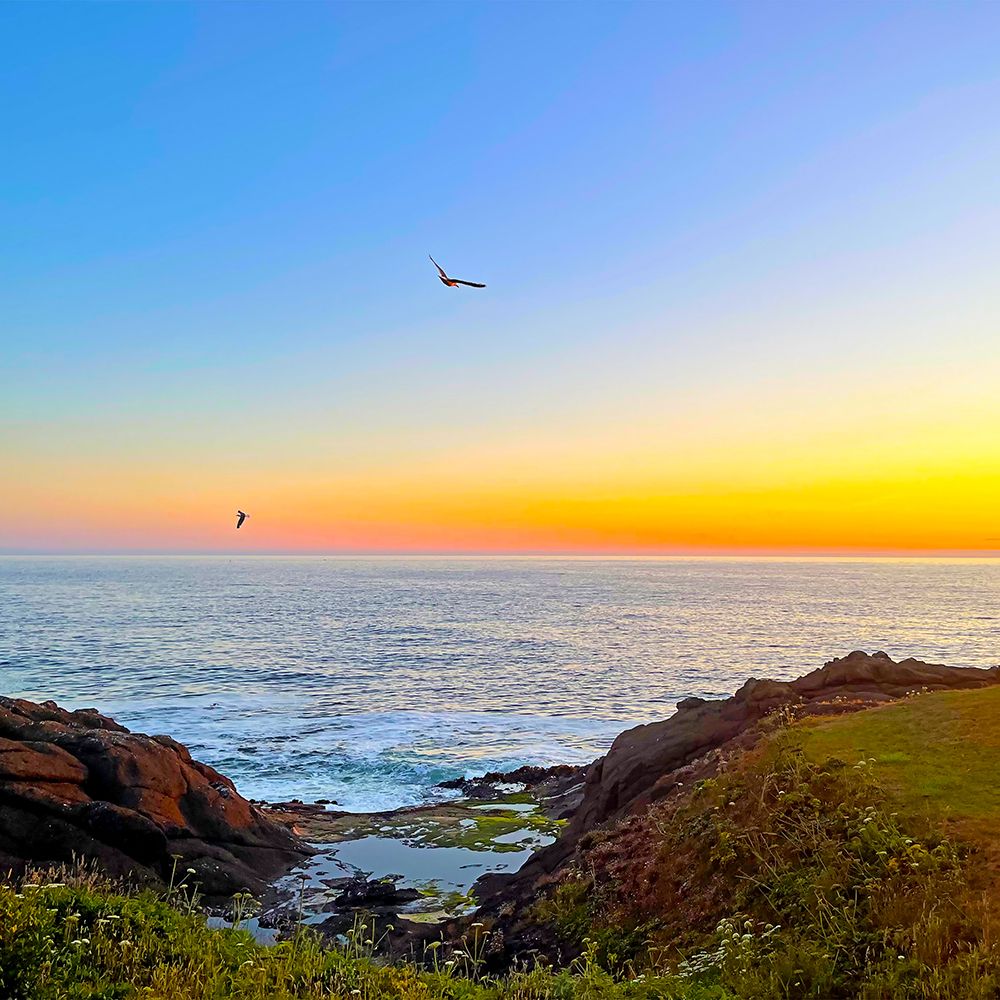 Sunset On The Oregon Coast art print by William Tenoever for $57.95 CAD