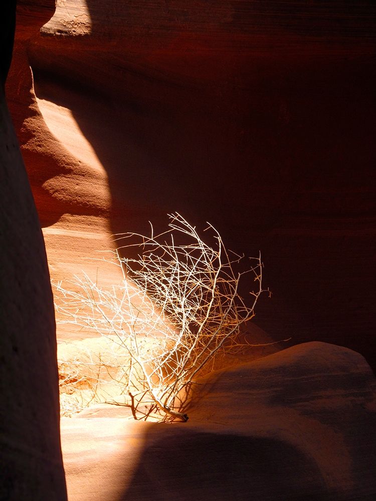 Antelope Canyon V art print by William Tenoever for $57.95 CAD