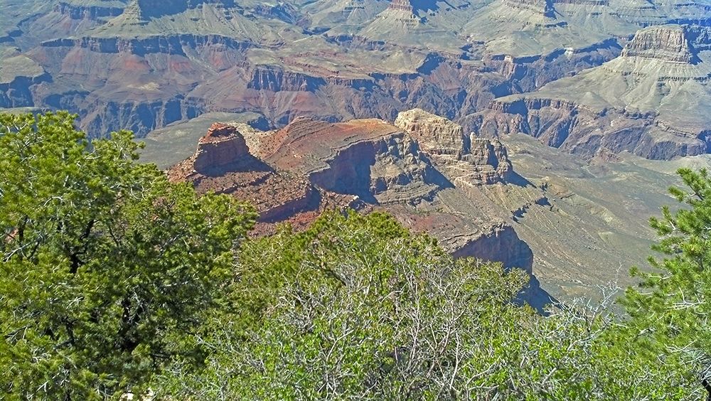 Grand Canyon 3 art print by William Tenoever for $57.95 CAD